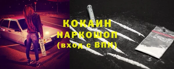 индика Баксан