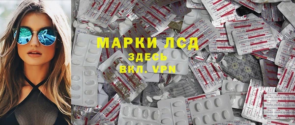 индика Баксан