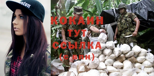 индика Баксан