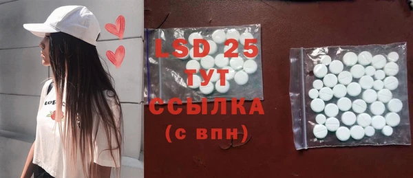 индика Баксан