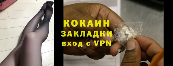 индика Баксан
