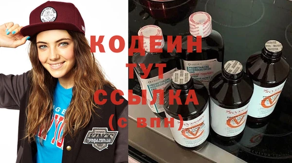 индика Баксан