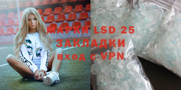 индика Баксан