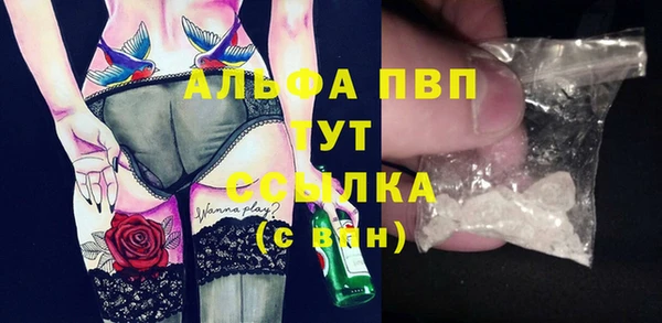 индика Баксан