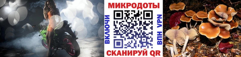 Купить где Дигора Псилоцибиновые грибы GOLDEN TEACHER